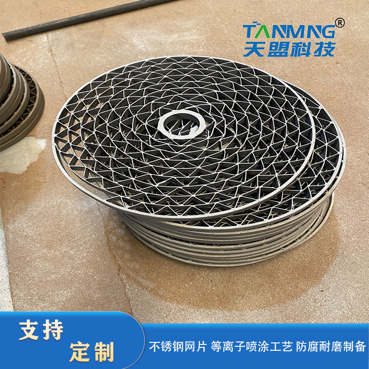 Thermal spraying processing of workpiece surface treatment mesh