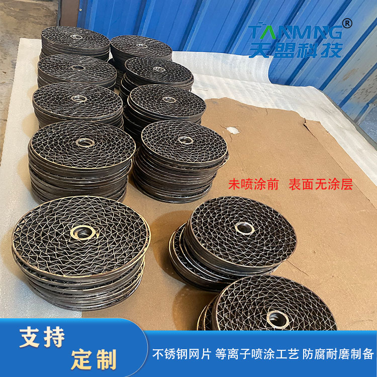 Thermal spraying processing of workpiece surface treatment mesh